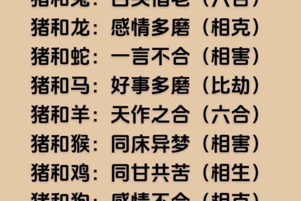 1996年2月属猪还是鼠_1996年属猪的最佳配偶