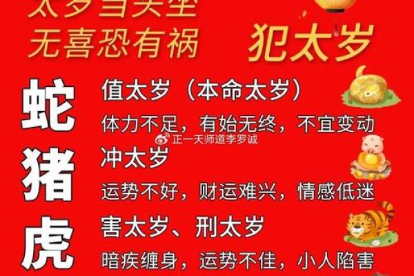 属相猪2025年犯太岁吗_2025年属猪人犯太岁吗运势详解与化解方法