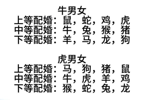 属狗的贵人是什么属相_属狗的贵人是什么属相揭秘最佳生肖配对