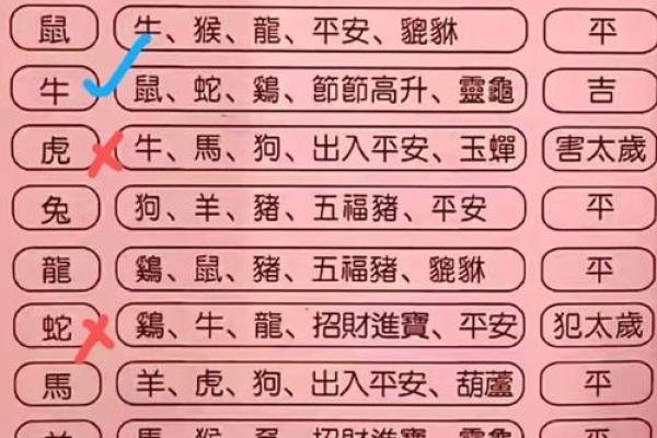 99年和03年八字合吗_99年和03年相差几岁