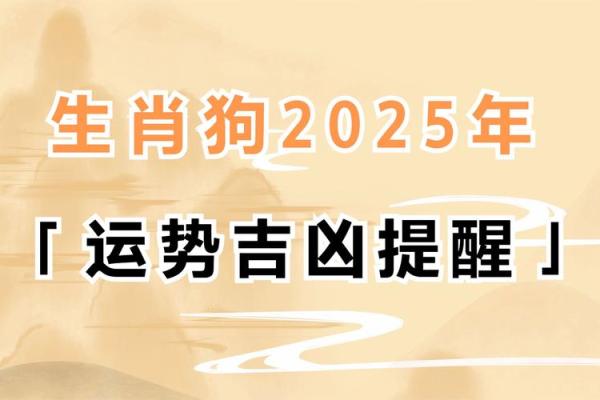 1982年属狗人40岁到49岁运程 1982属狗人39岁到49岁运程