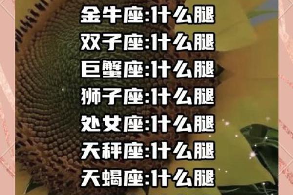 十二星座长大后 哪个部位最漂亮