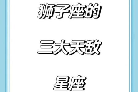 狮子座对哪些星座比较温柔男