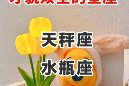 天秤座的人最适合什么星座在一起工作
