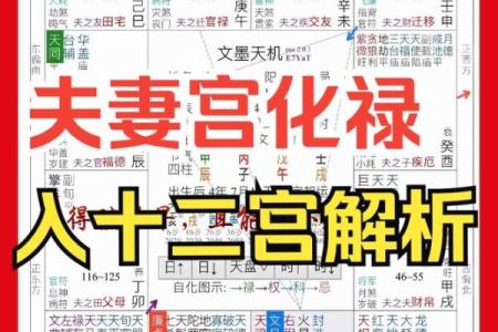夫妻宫有变动是离婚吗风水观点