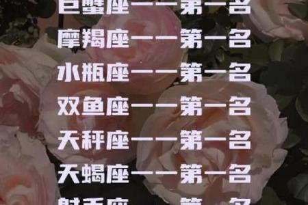 十二星座都适合什么皮质