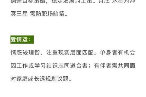 星座运势女巫店最新一周
