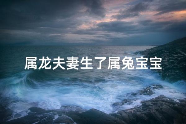 夫妻都属龙孩子属兔客厅挂什么画风水好-
