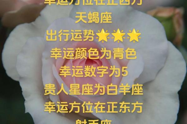 天秤座今天星座运势查询