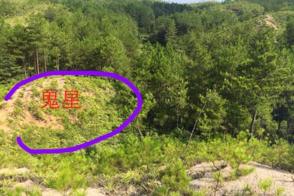 如何看墓地风水的好坏吉凶