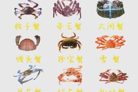 十二星座适合的螃蟹排名