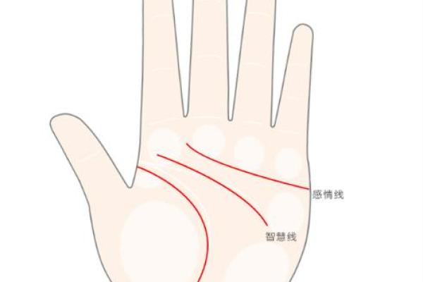 风水川字掌手相男人的命运解析