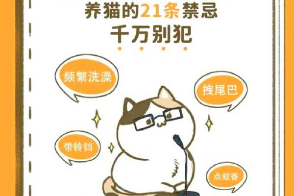 风水上哪几个生肖的人不能养猫禁忌