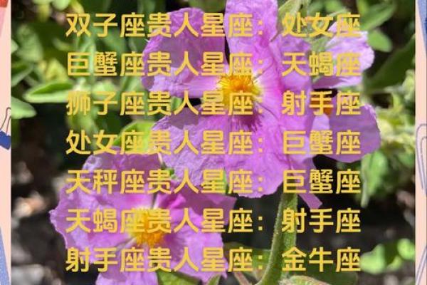 哪个星座能帮助摩羯激发潜力