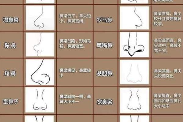 风水女人面相嘴唇薄意味什么事情