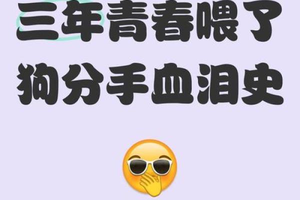 哪些星座的青春喂了狗