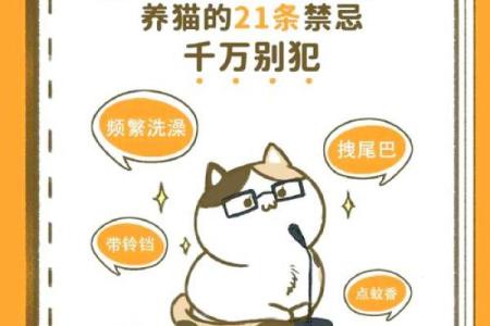 风水上哪几个生肖的人不能养猫禁忌