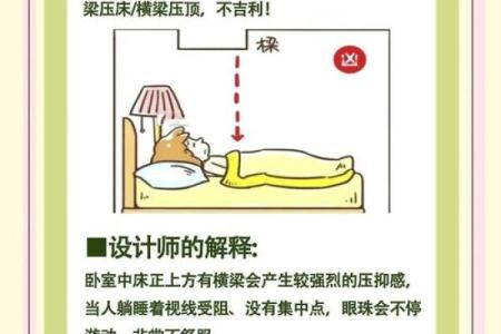 住宅设计与风水提升住宅品质的秘密