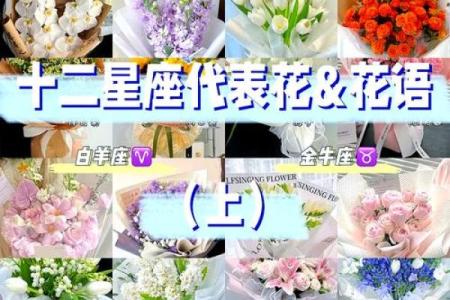 每个星座适合是么花