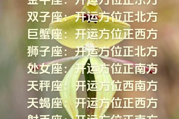 每日运势与什么星座有关系
