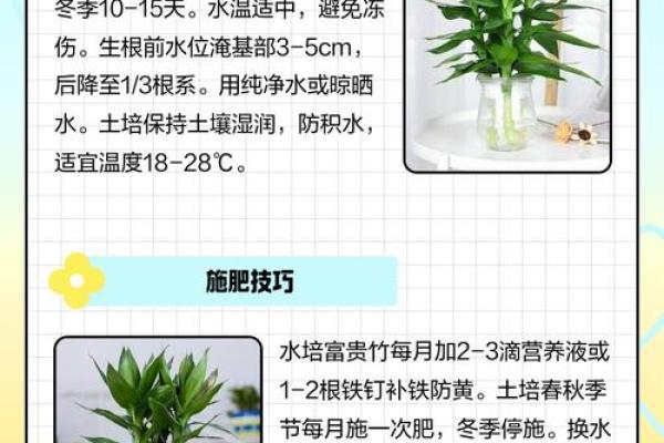 怎样养出富贵吉祥的好风水
