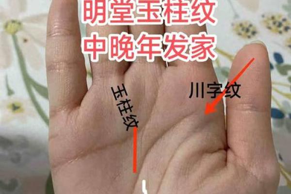 风水手相：川字掌女人的命运是不是不好