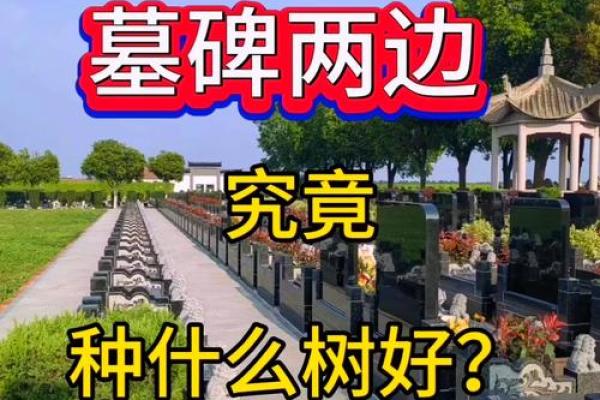 怎么看坟墓风水朝向要注意什么