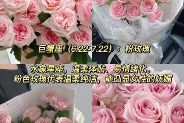 12星座最喜欢的玫瑰花是哪种