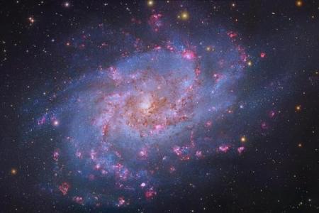 我们说的星座都是本星系群的吗