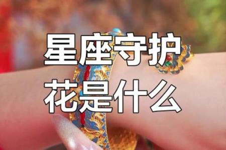 十二星座代表的守护花都有哪些呢