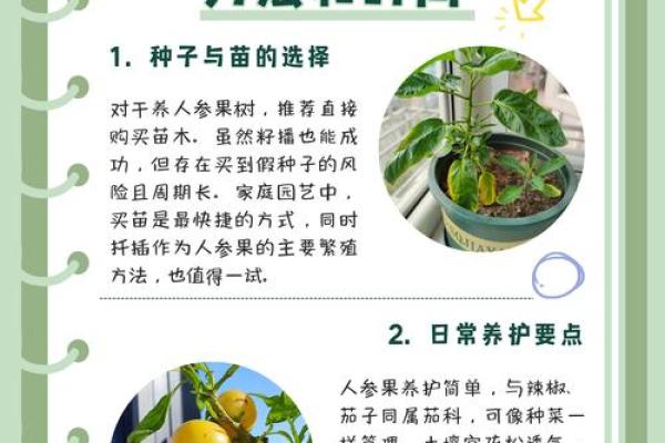 在家里种植哪些果树能符合风水规律