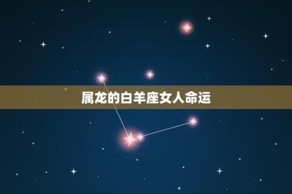 属龙人是哪些星座最好
