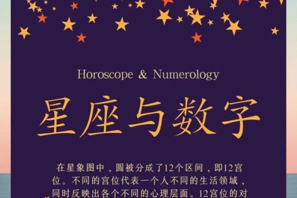 摩羯生命灵数1代表什么星座
