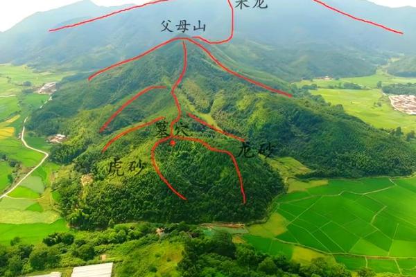后辈出贵人祖坟风水：贵子之地