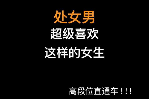 处女星座女会喜欢双子星座男吗