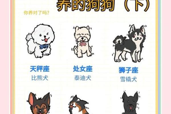 十二星座哪个星座养着猪最好