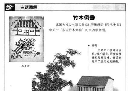 风水风水禁忌_在我们中国风水与迷信是同一个意思吗