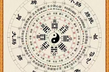 八卦风水学入门知识大全