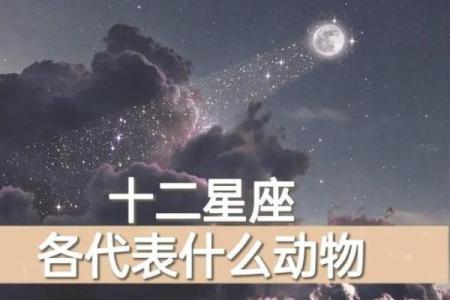 12星座喜欢哪种海洋动物