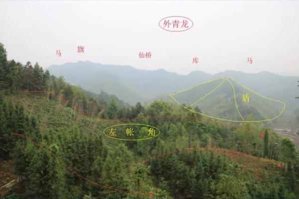 子女总是能当官的祖坟风水