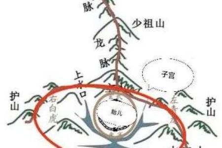 为何风水学把绵延的山脉称龙脉