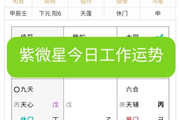 年紫薇星座运势查询表