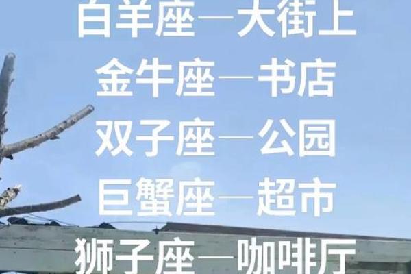 十二星座元旦哪里桃花最好