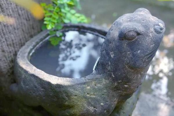 房子风水中乌龟串堂