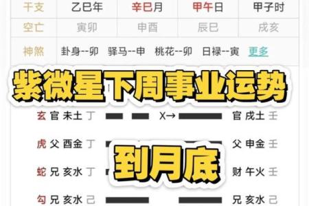 年紫薇星座运势查询表