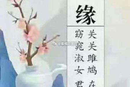 论感情风水，怎么做才能招桃花