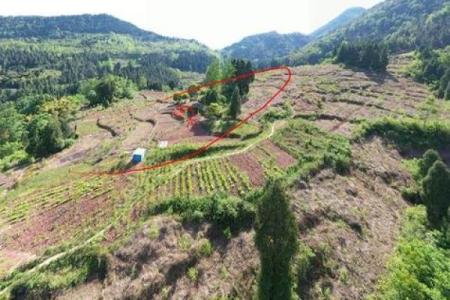 墓地风水坟地里埋什么旺家风水