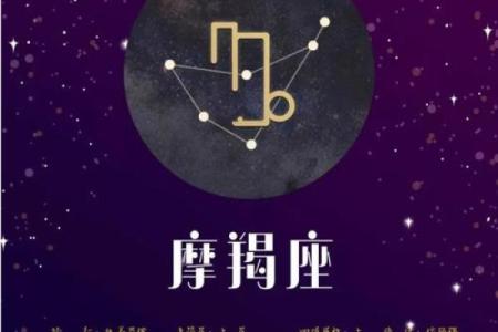 摩羯星座是工作狂吗