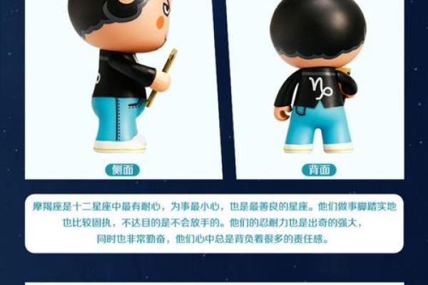 十二星座的玩具和家具一样吗