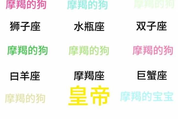 摩羯座跟哪个星座适合谈恋爱